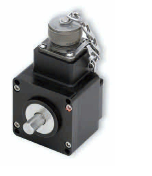 DYNAPAR HD20100010G10