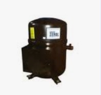 BRISTOL COMPRESSORS T81J384CBCA