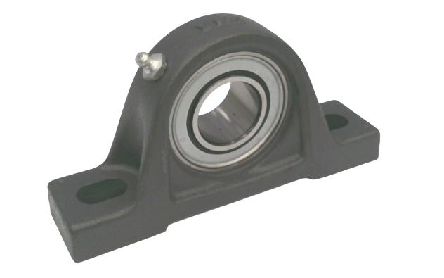 SCHAEFFLER GROUP PASEY30