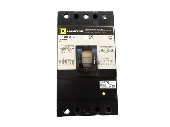 SCHNEIDER ELECTRIC FIP36100