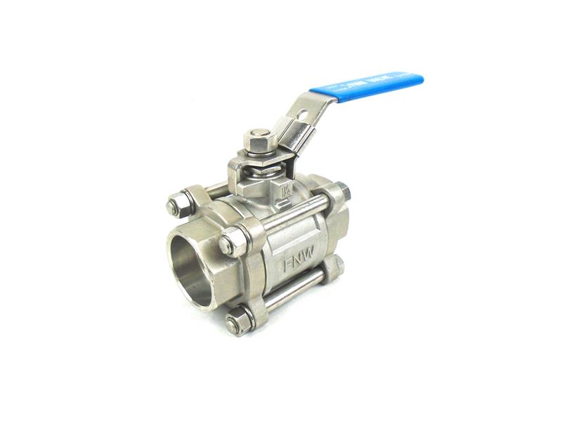 FNW VALVE CORP FNW310SWH