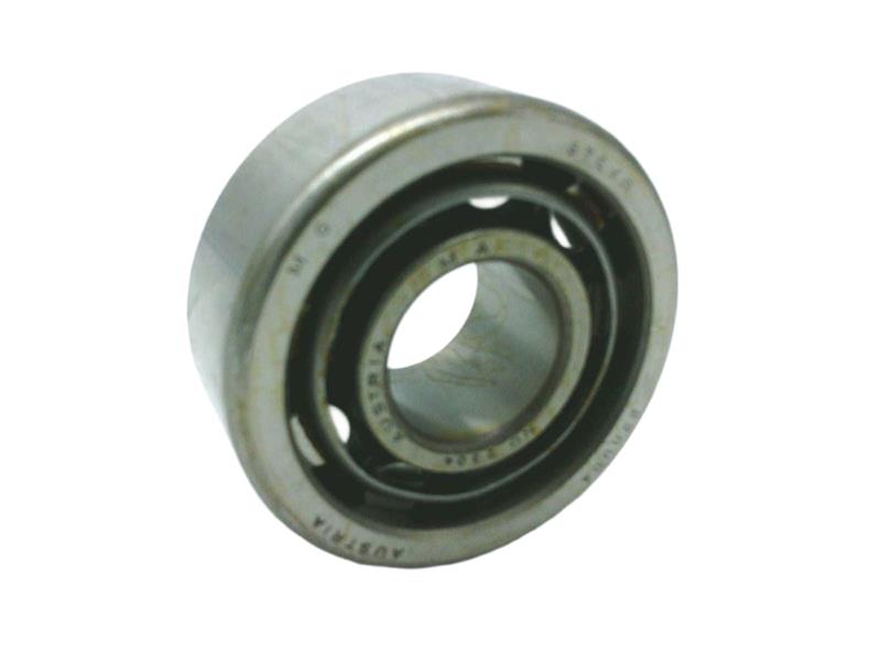SKF NU-2304