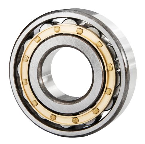 SKF N304MB/ZS