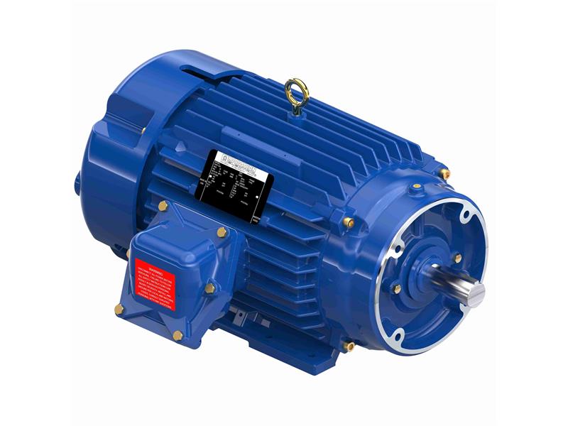 REGAL REXNORD 215TTGCD6505