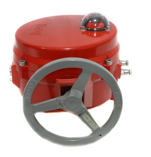 BRAY 70-0200-113F3-536K