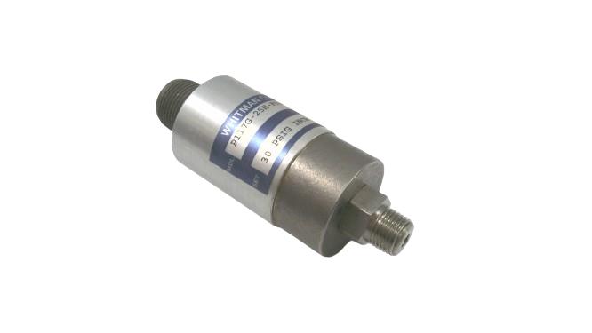 WHITMAN CONTROLS P117G-25H-F52M