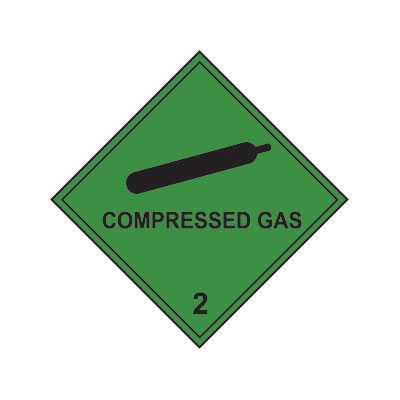 PRO SAFE INC R4100.250