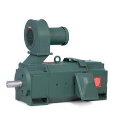 ASEA BROWN BOVERI D5050RS-BV