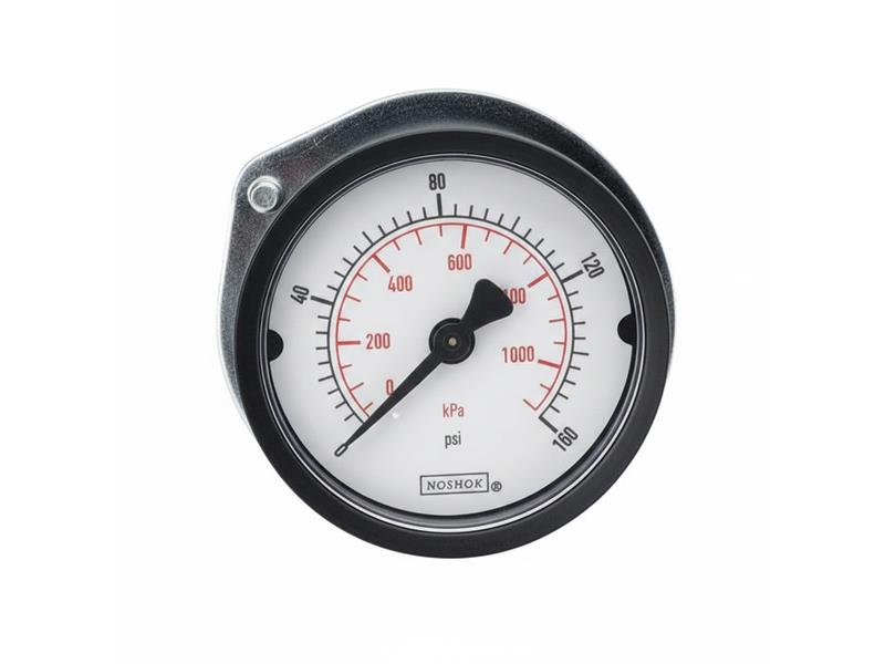 NOSHOK 15-110-30-PSI/KG/CM2-BLFF-CC