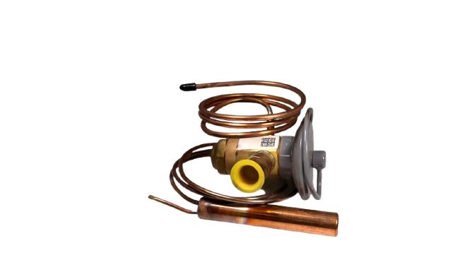 PARKER BBIVE-6-CP100-B10