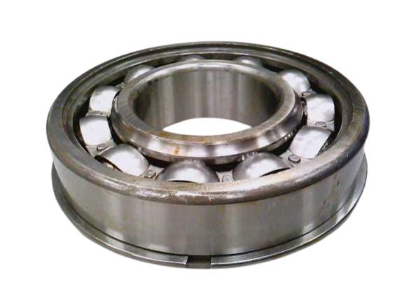 SKF 310NR