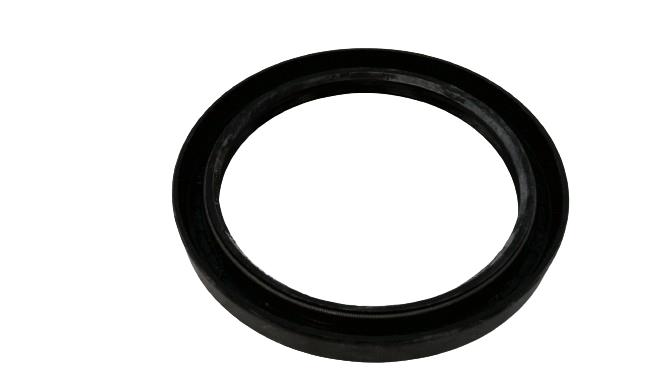 NAK SEALING TECHNOLOGIES TC-100X125X13