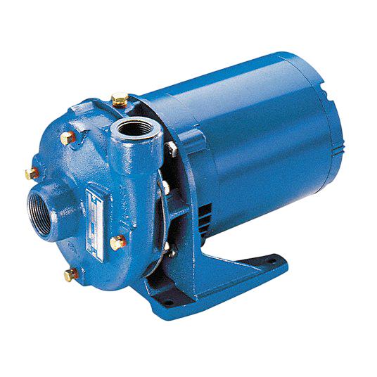 XYLEM 1BF20534