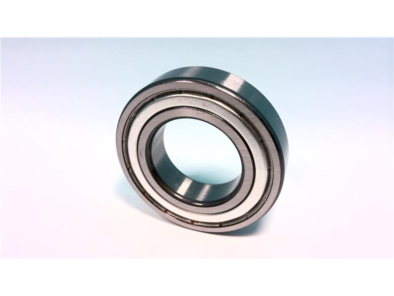 SCHAEFFLER GROUP 6006.2ZR.J22R