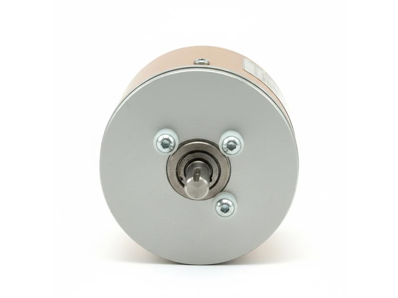 RS23-1000-20/5-L by TRIPLETT