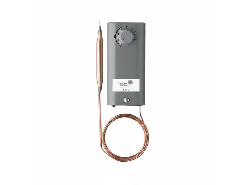 JOHNSON CONTROLS 5216