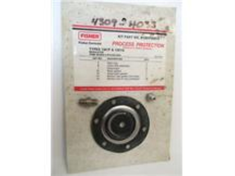 EMERSON R1-301FX0012