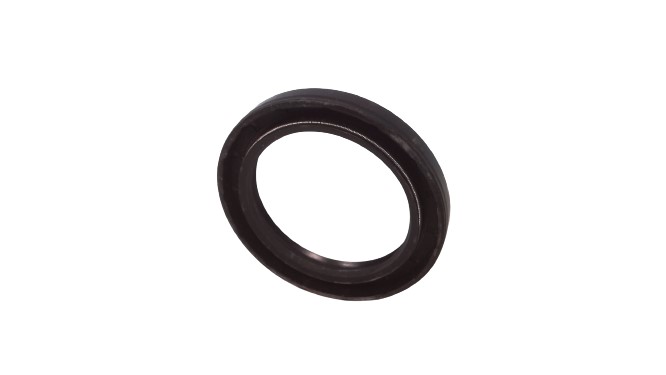 FREUDENBERG 20273TC-BX