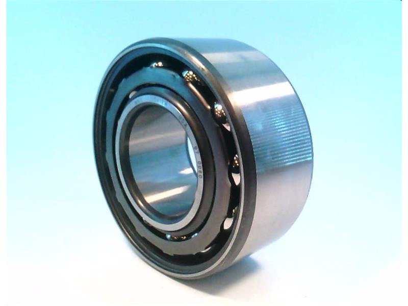SKF 5313M