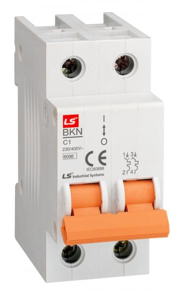 LS ELECTRIC BKN-2P-C6A