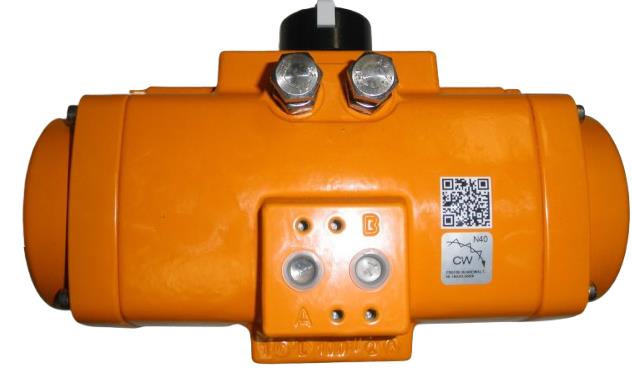 EMERSON FS0100NU40CWALTNL19SKA00XX