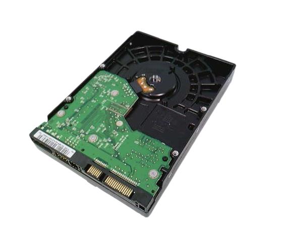 WESTERN DIGITAL WD800JD-08MSA1