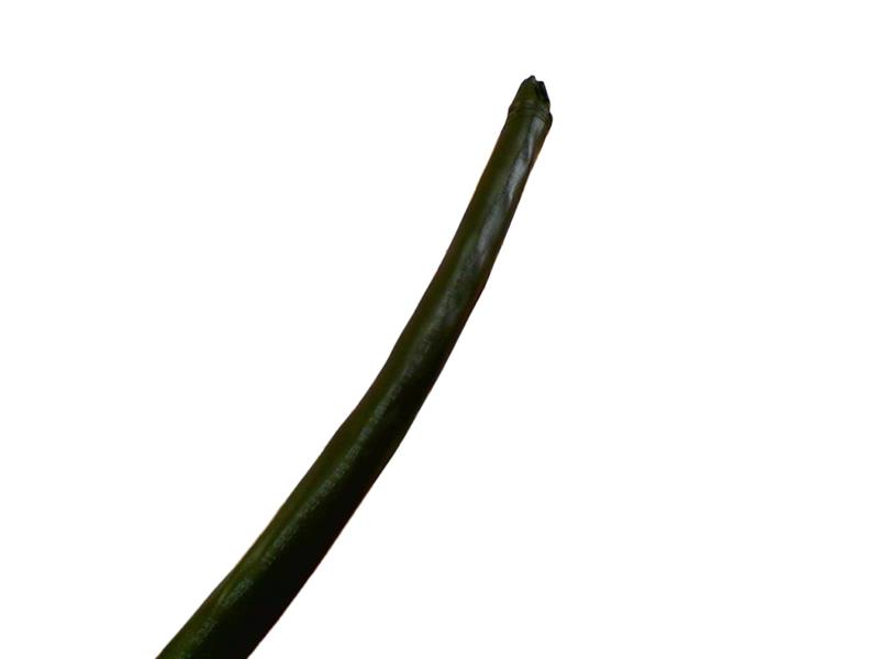 ANIXTER 3232311812