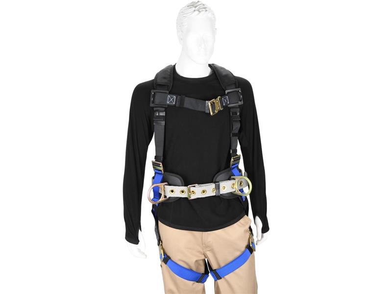 PRO SAFE INC PS-HCN-QC3