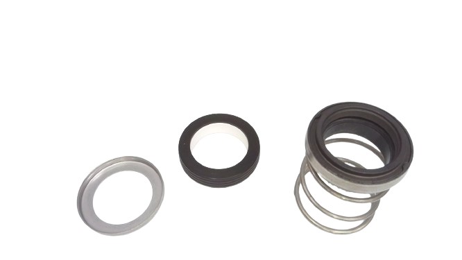 21-125-04 by FLOWSERVE