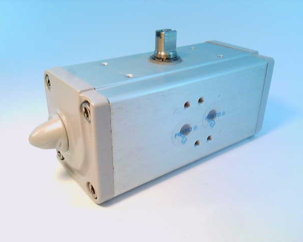 FESTO DAPS-0060-090-R-F04