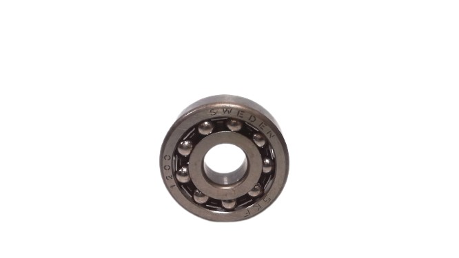 SKF 1200