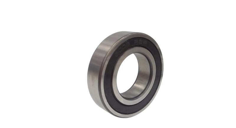 SCHAEFFLER GROUP 6005