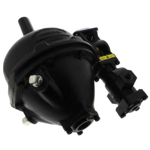 XYLEM 247