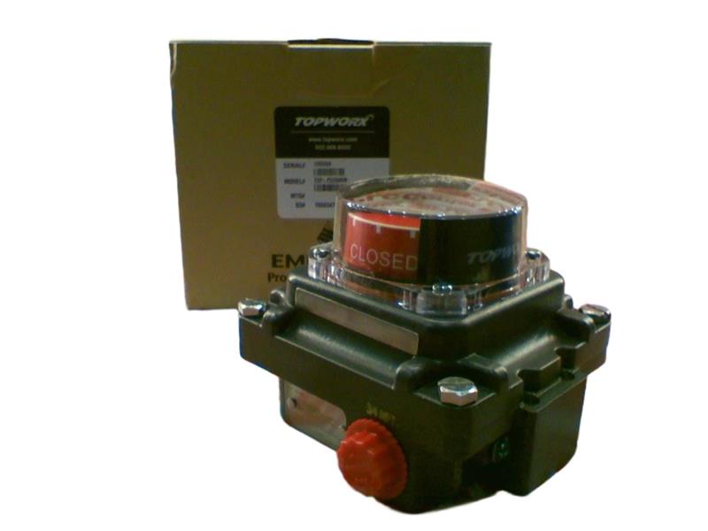 TOPWORX TXP-P22GNEM