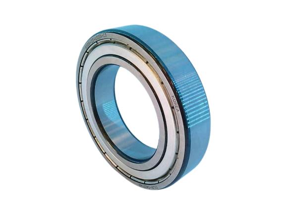 SCHAEFFLER GROUP 6009-Z