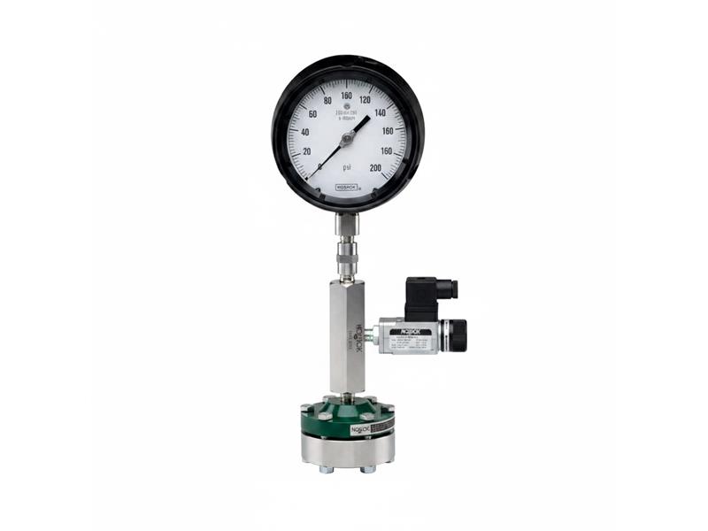 NOSHOK 15-110-160-PSI/BAR-SSC