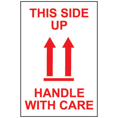 13873 by PRO SAFE INC