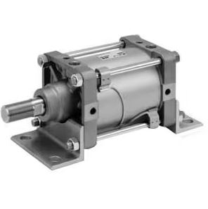 SMC CDS2YC160TN-100-Z73LS