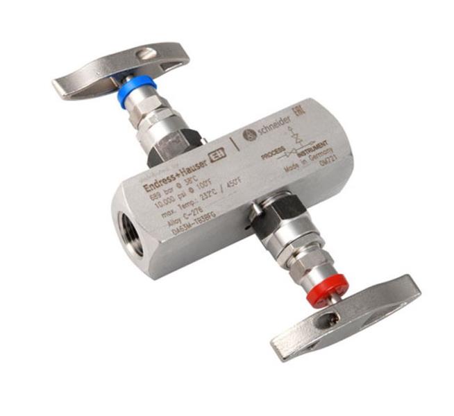 ENDRESS & HAUSER DA63M-TB2BGG