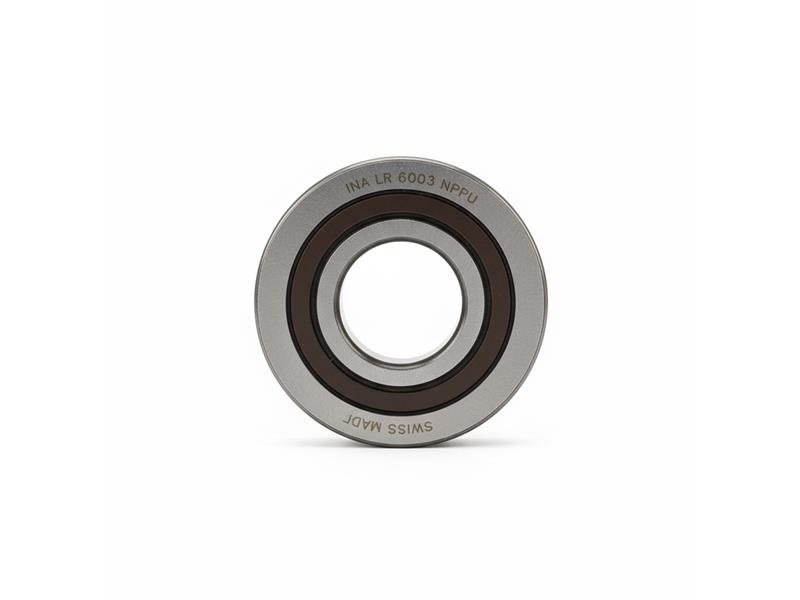 LR-6003-NPPU by SCHAEFFLER GROUP