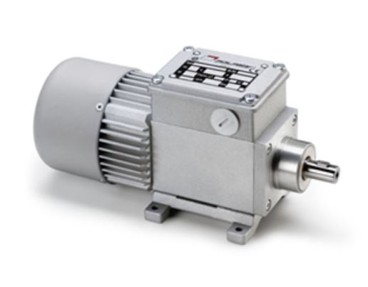 MINI MOTOR MC145P2T