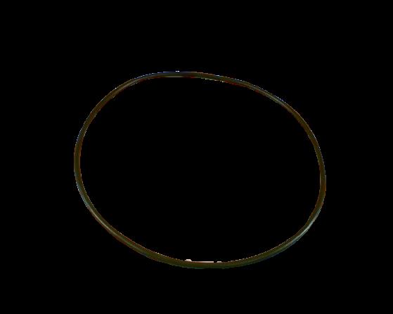 AP SERVICES 1000141298