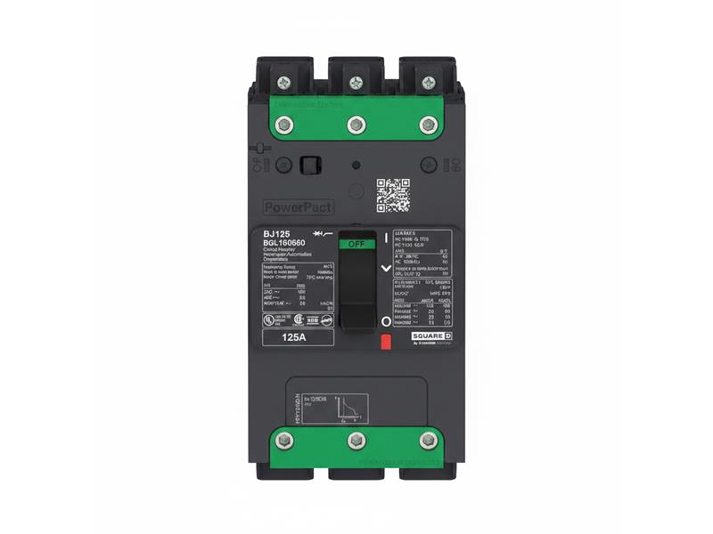 SCHNEIDER ELECTRIC BGL16060