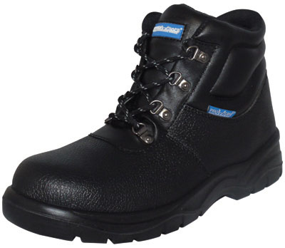 PRO SAFE INC VSF-10009H