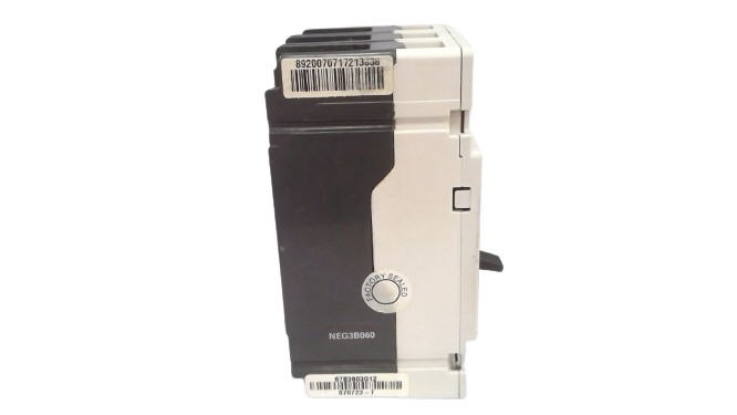 SIEMENS NEG3B060L