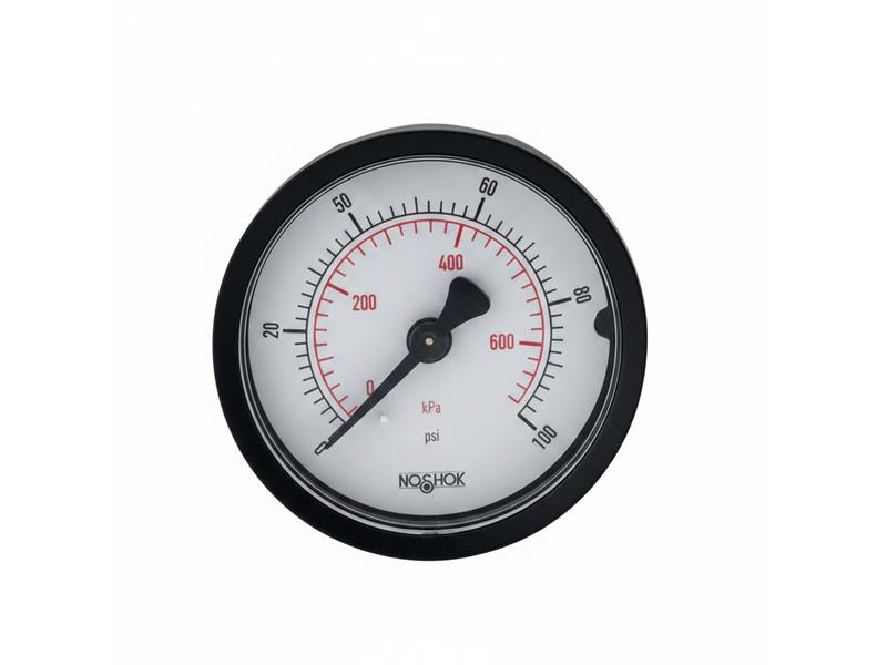 NOSHOK 20-110-200-PSI/KG/CM2-SSB-CC