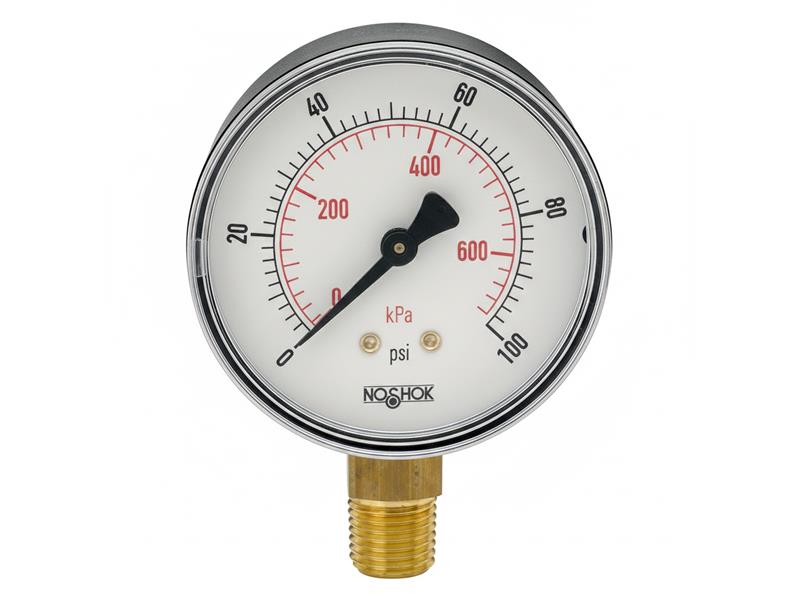 NOSHOK 25-100-30-PSI/BAR-BSC