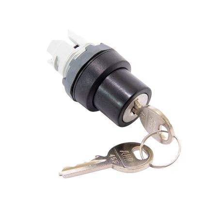 ASEA BROWN BOVERI M2SSK2-101