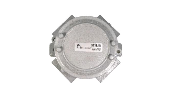 CORTEM GROUP ST36.1N