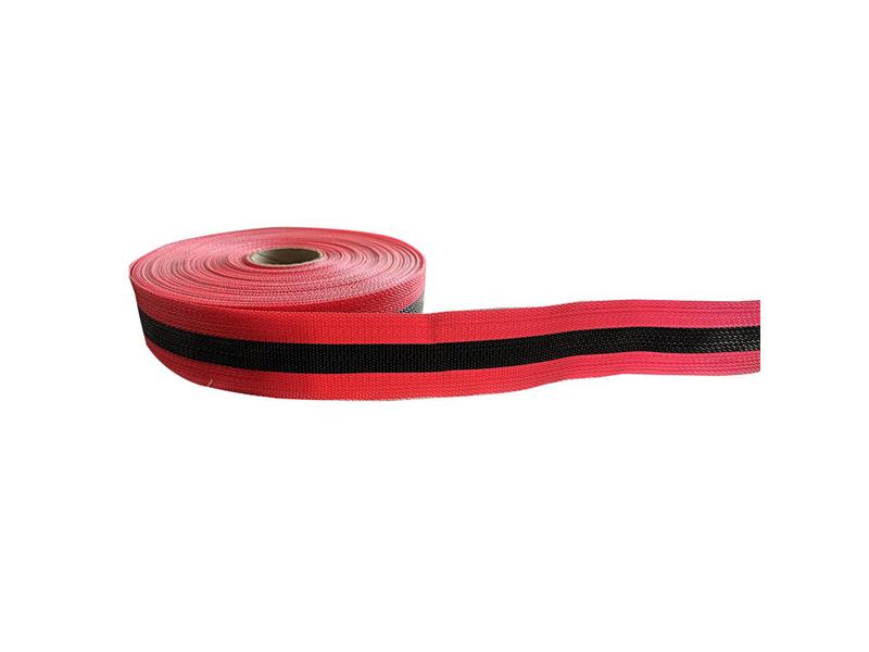 PRO SAFE INC WNBT-RB2150